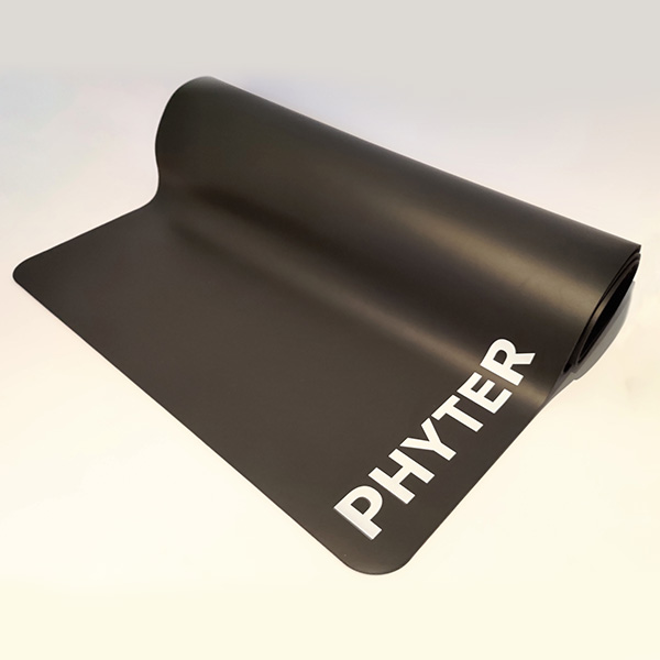 PHYTER — detail 3