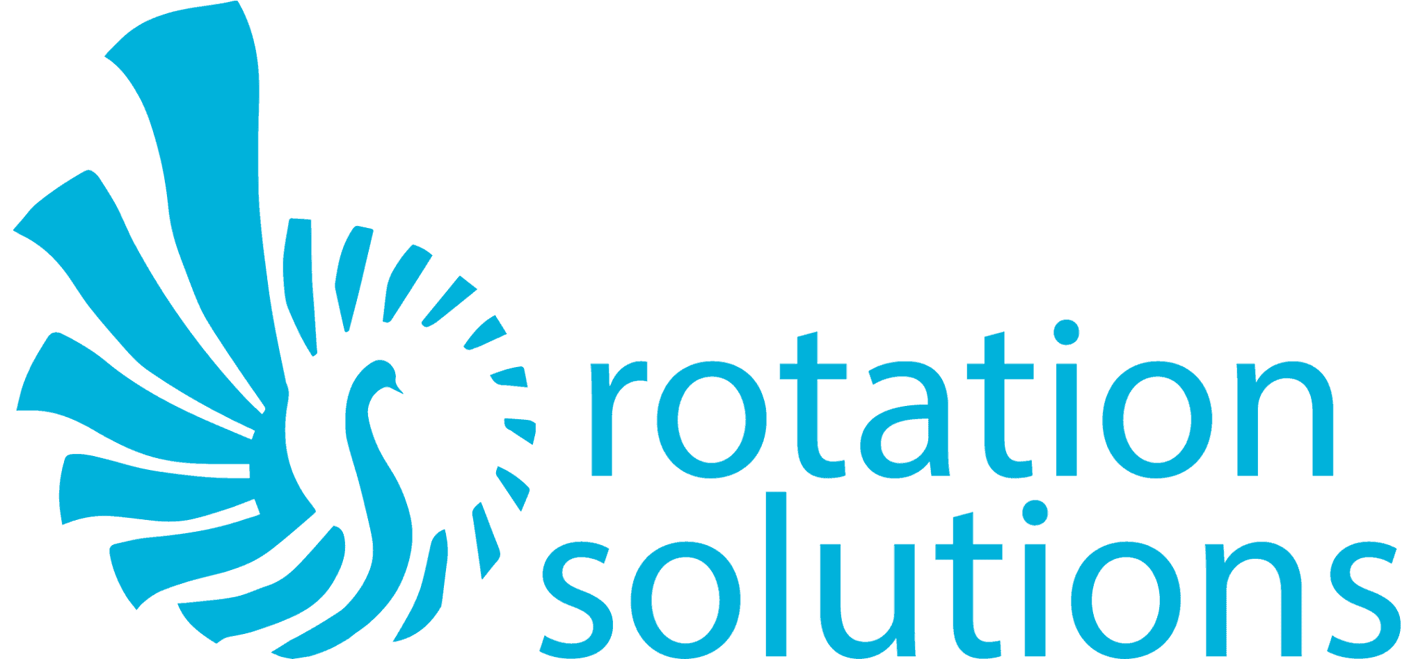 ROTATION SOLUTIONS — 1.1