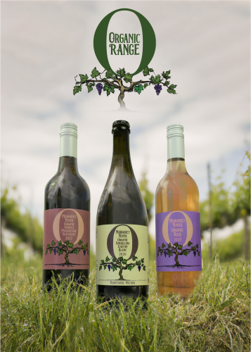 WA CELLARS — detail 2