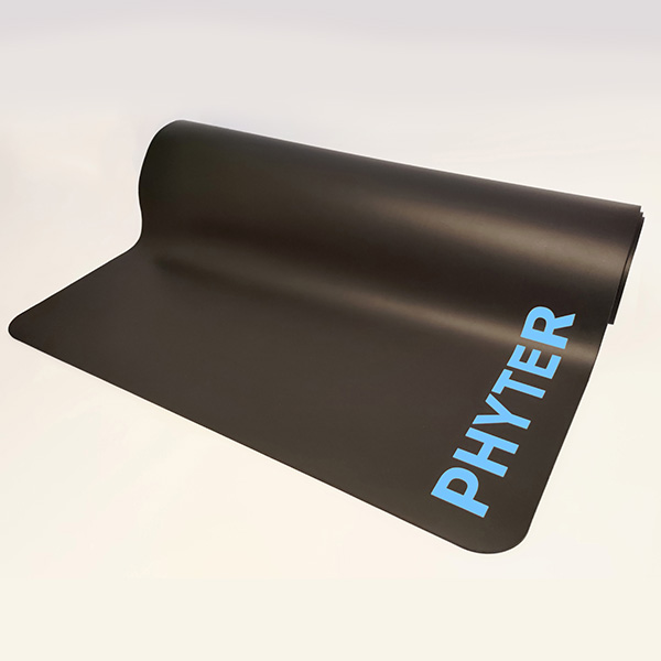 PHYTER — detail 1