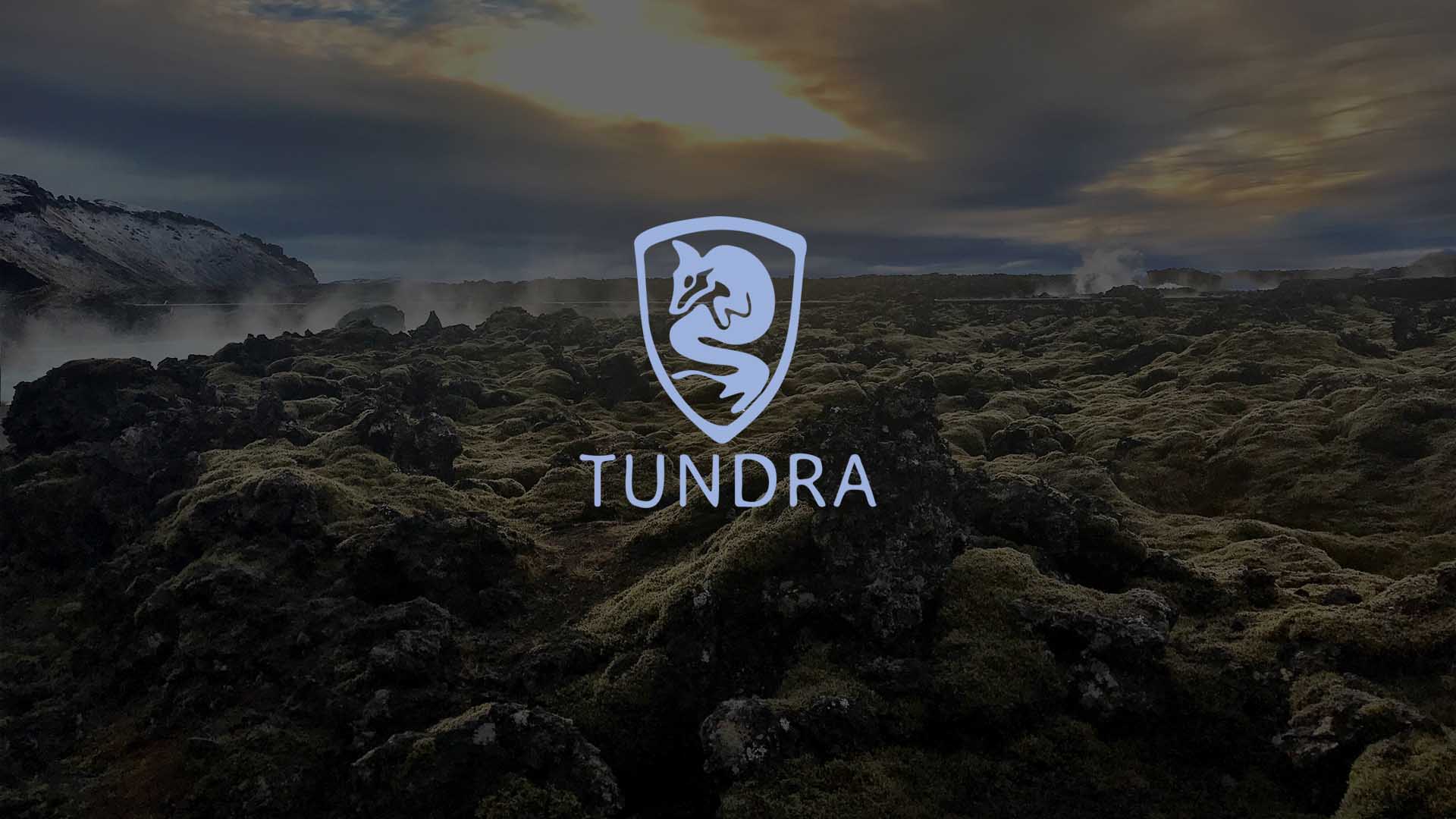 TUNDRA SAFETY — 9.1